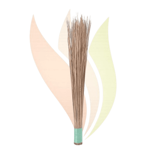 Jhadu